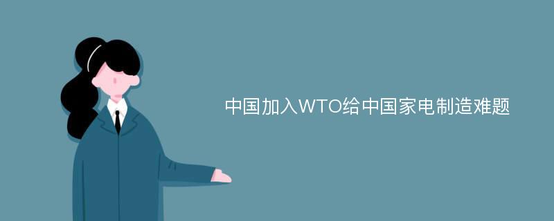 中国加入WTO给中国家电制造难题