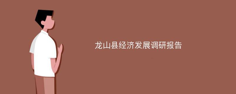 龙山县经济发展调研报告
