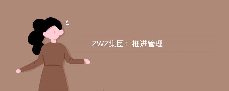 ZWZ集团：推进管理